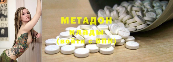 индика Алексин