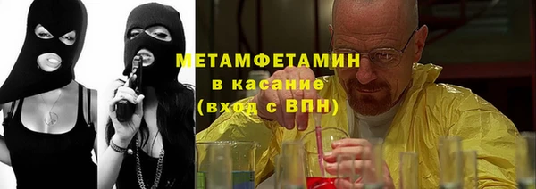 индика Алексин