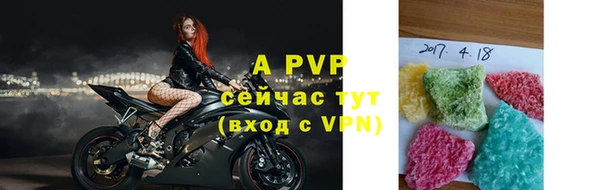 индика Алексин