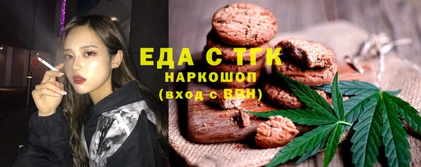 индика Алексин