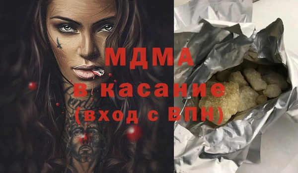 индика Алексин